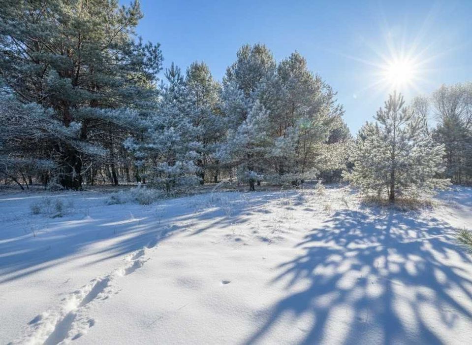 Продаж ділянки Михайлівка-Рубежівка 39,1 соток,під ОСГ. ID: 701