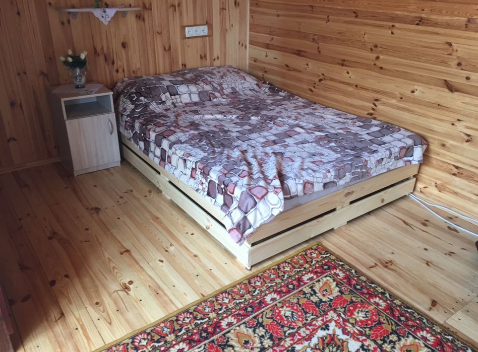 Ремонтні роботи,столярні роботи,електрик,демонтаж,укладка вагонки.