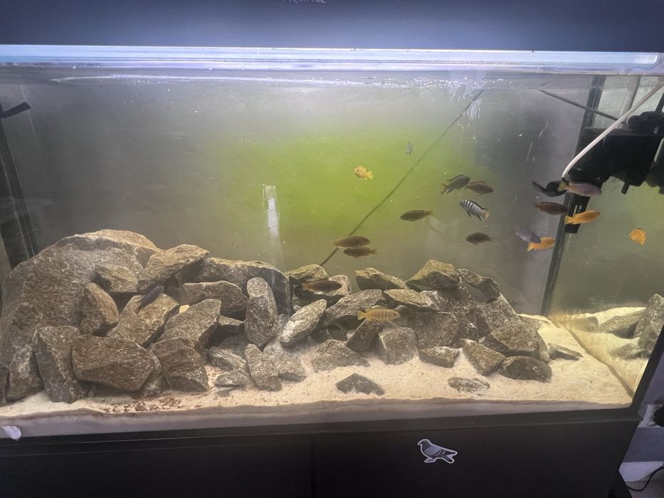 Akwarium 200l. z szafka
