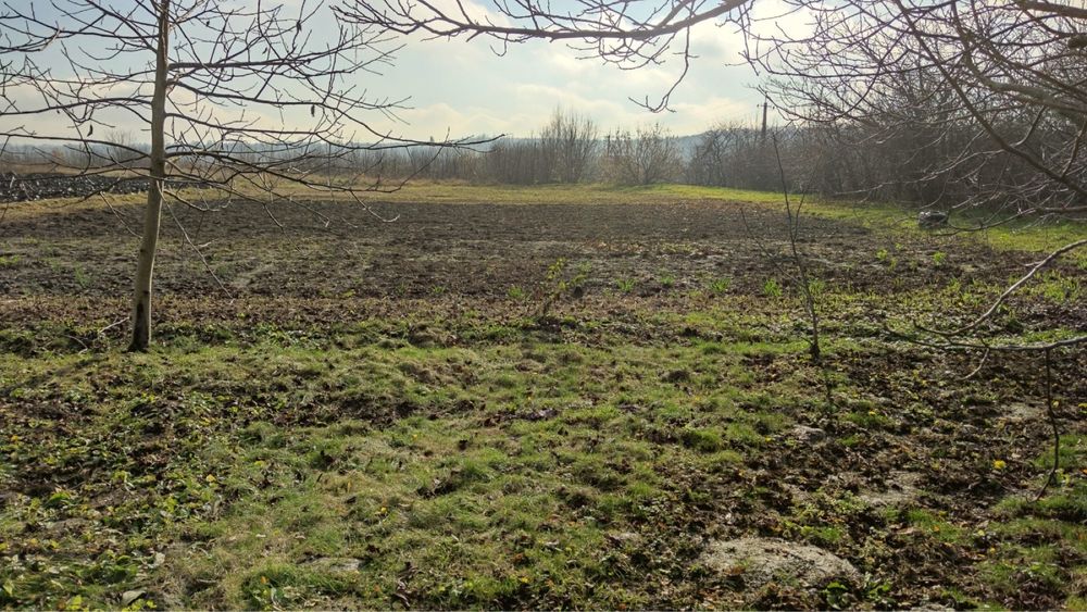 Продам доглянуту земельну ділянку 0,20га, 12км. від м. Хмельницького!