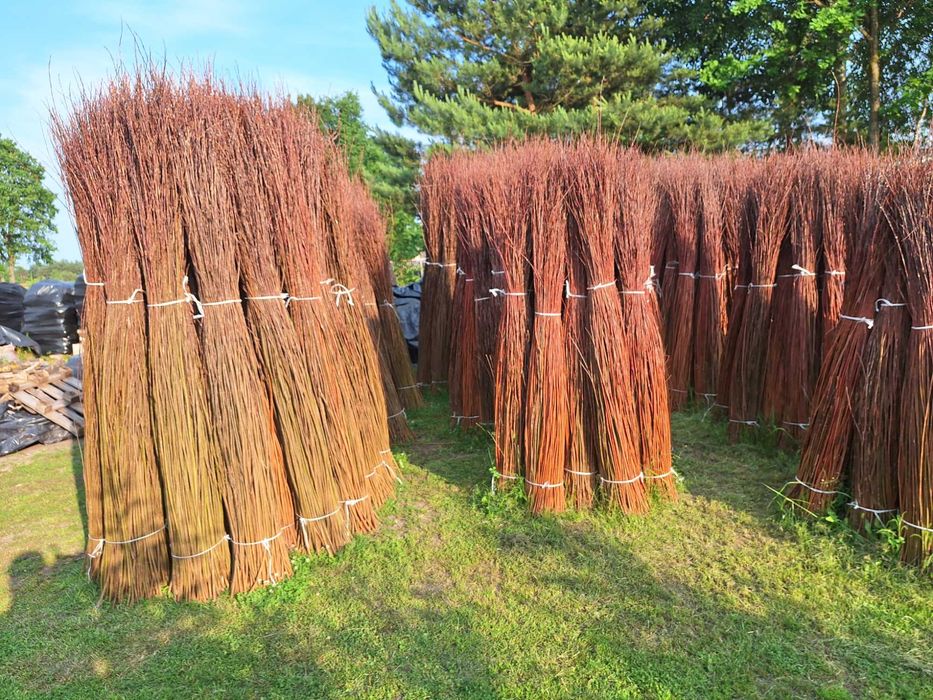 Wiklina sucha sortowana