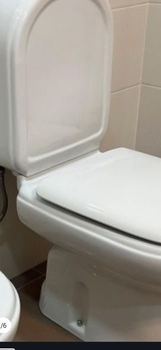 Tampo de sanita indusa