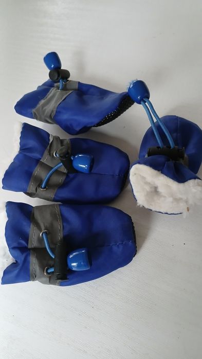 Zimowe butki dla małego pupila.