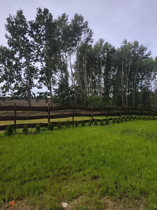 Działka, zagajnik na Mazurach