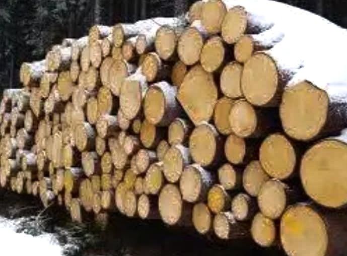 Дрова по безготівковому, готівковому рахунку для підприємств та домого