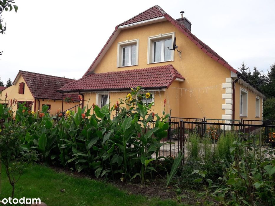 OKAZJA: Dom 150m2 na działce 6000 m2 - TUCZE, przy jeziorze Woświn