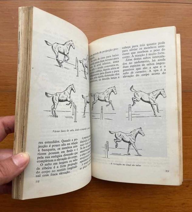 "O Exterior do Cavalo" de José Miranda do Vale