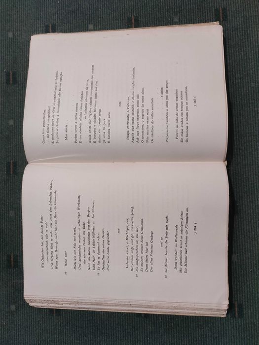 Holderlin Poemas - Seleção e Tradução de Paulo Quintela