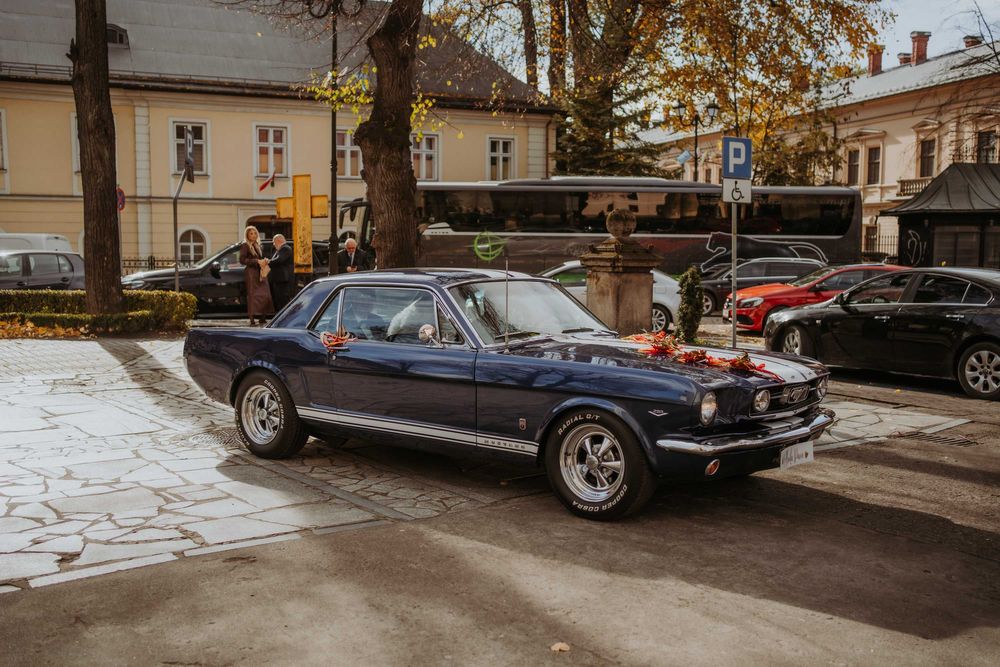 Mustang 1966 do ślubu. Samochód na ślub, wesele, auto do ślubu, wynaje
