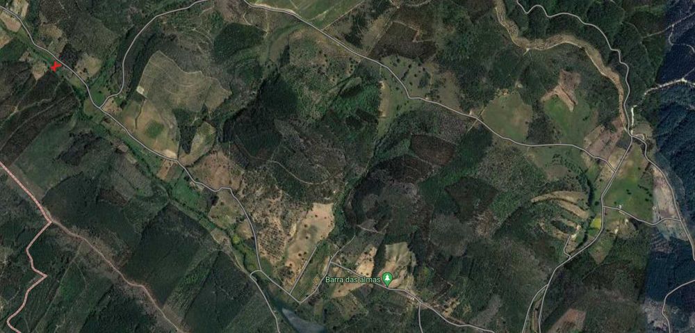 Terreno Rústico | 3.750 m2 | Olival