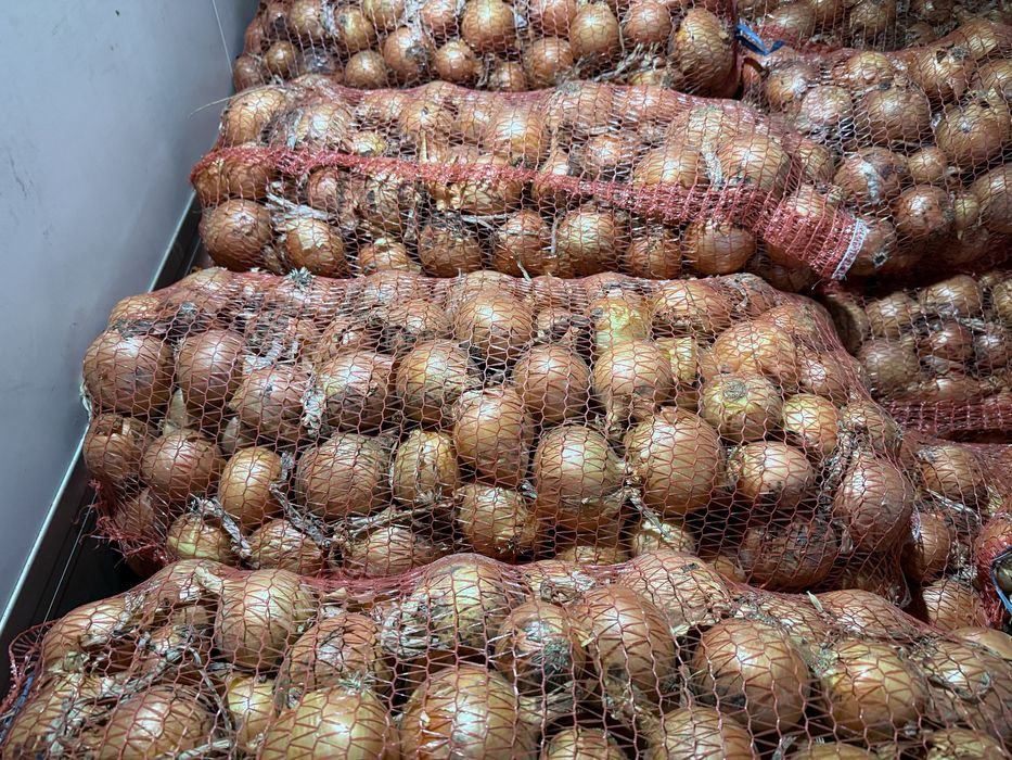 Продам Лук (цибуля)