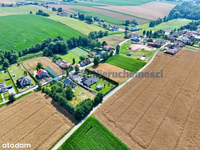 Zdjęcie 3