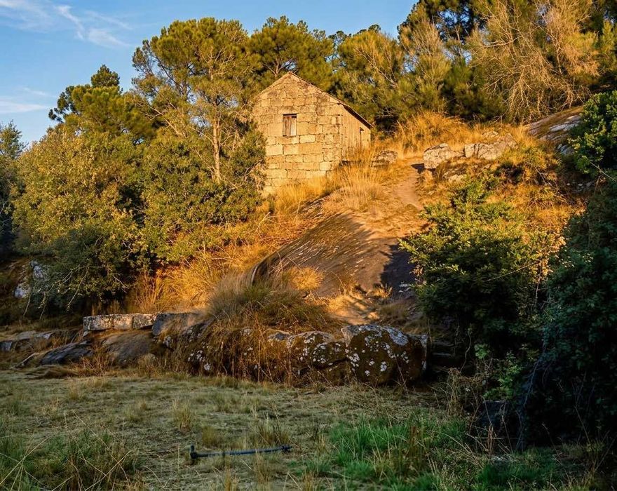 Quinta com casa para recuperar! 1.3hec farm with granit house (ruin) (Oliveira do Hospital)