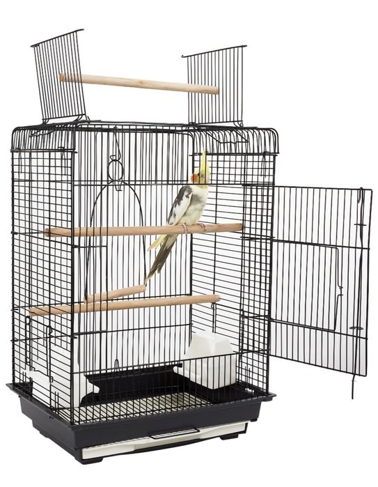 Gaiolas novas para aves