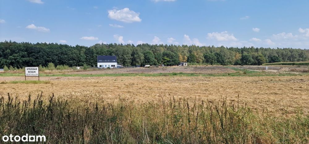Swobnica działka nad jeziorem świetna lokalizacja - Widok 6