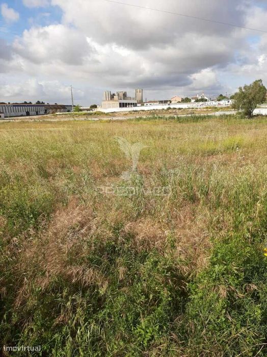 Terreno Misto Vila Chã de Ourique / Cartaxo