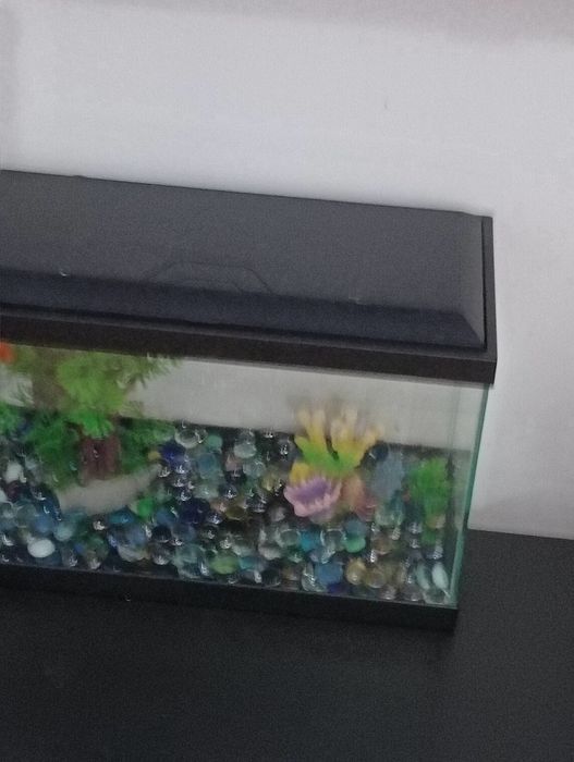 Aquário de vidro