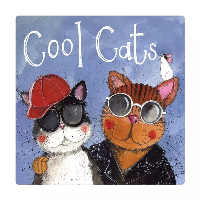 Magnes Fm221 Cool Cats. Alex Clark