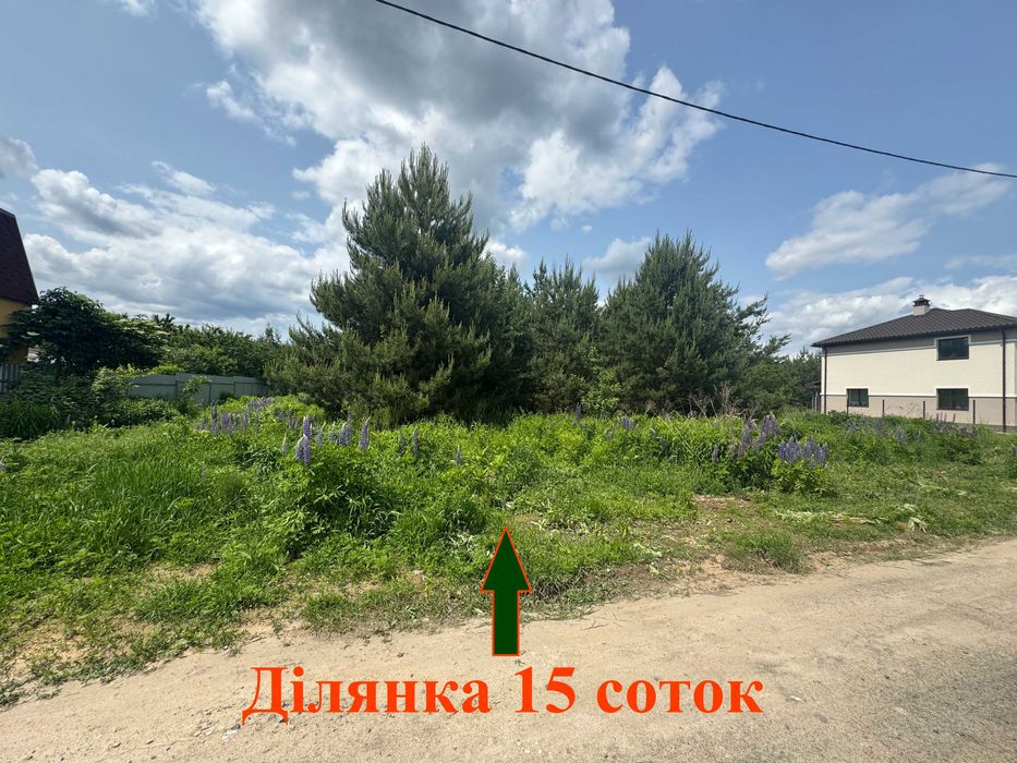 Малютянка 15 соток з соснами Продаж ділянки Еко зона