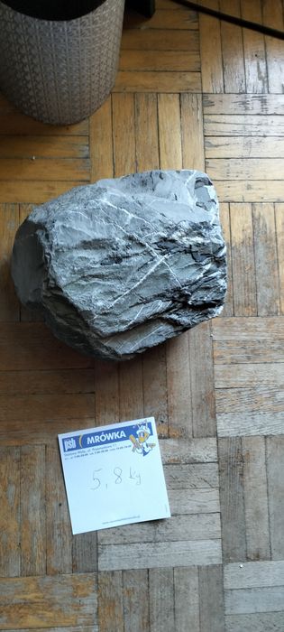 Kamienie czarne z białymi żyłami
