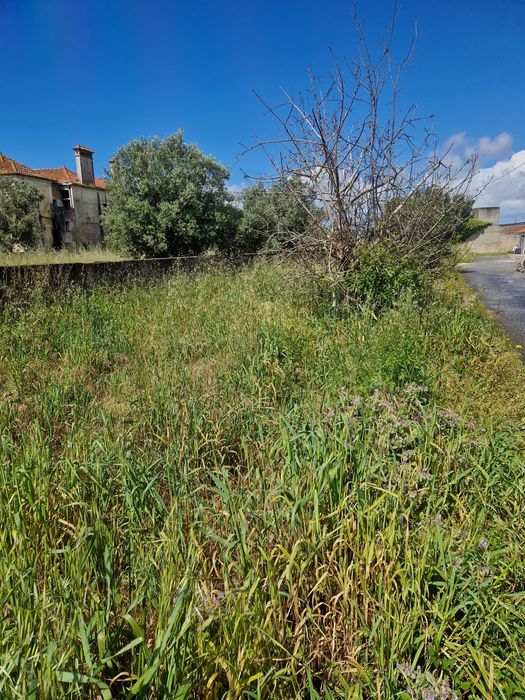 Terrenos ....... Limpar