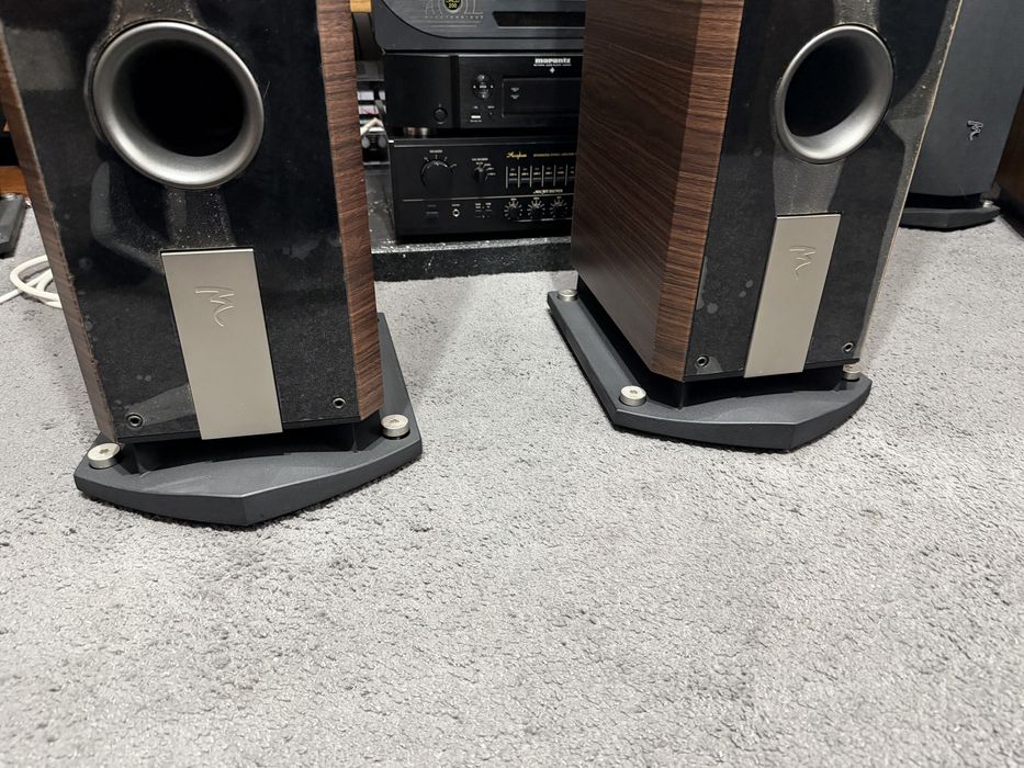 Focal chorus 826v noyer