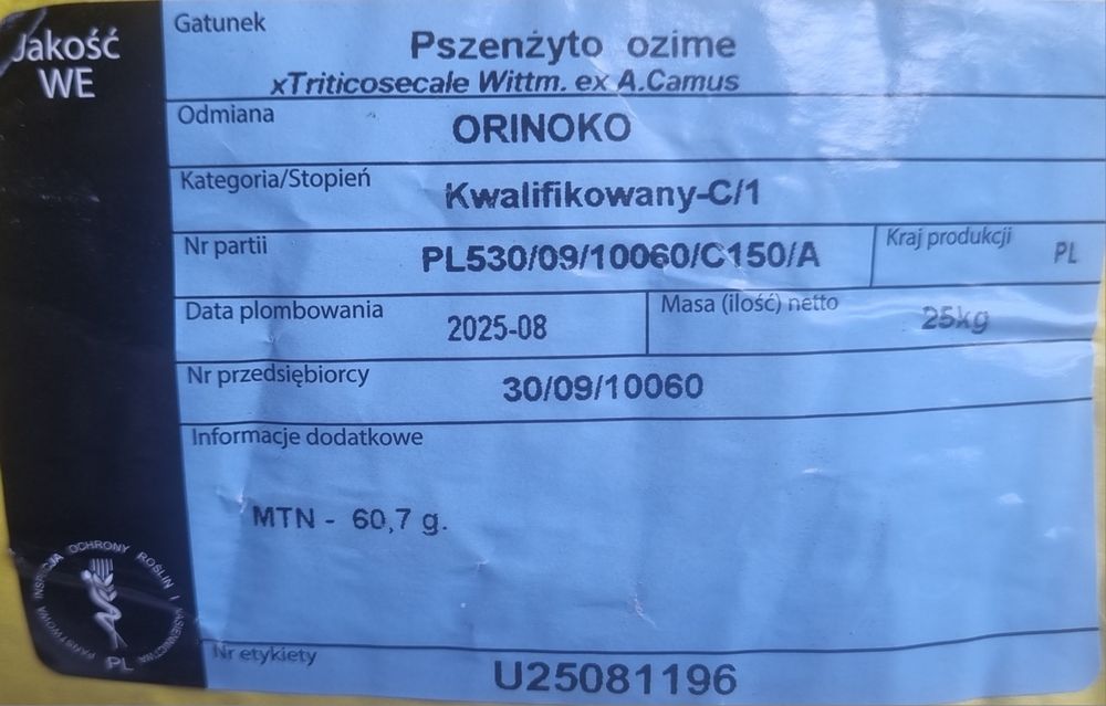 Pszenżyto ozime Orinoko po kwalifikacie , po centrali
