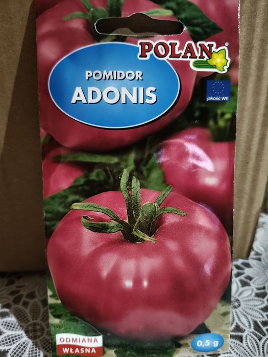 Pomidor  "Adonis"