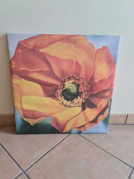 Tela Quadro Moldura Rosas Flor Roses 53x53cm Frame