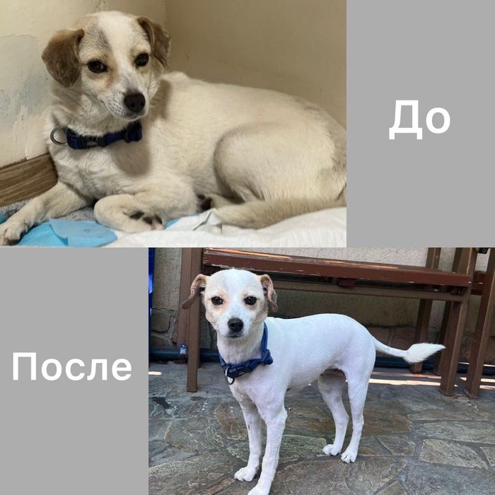 Ляля из Херсона ищет дом!