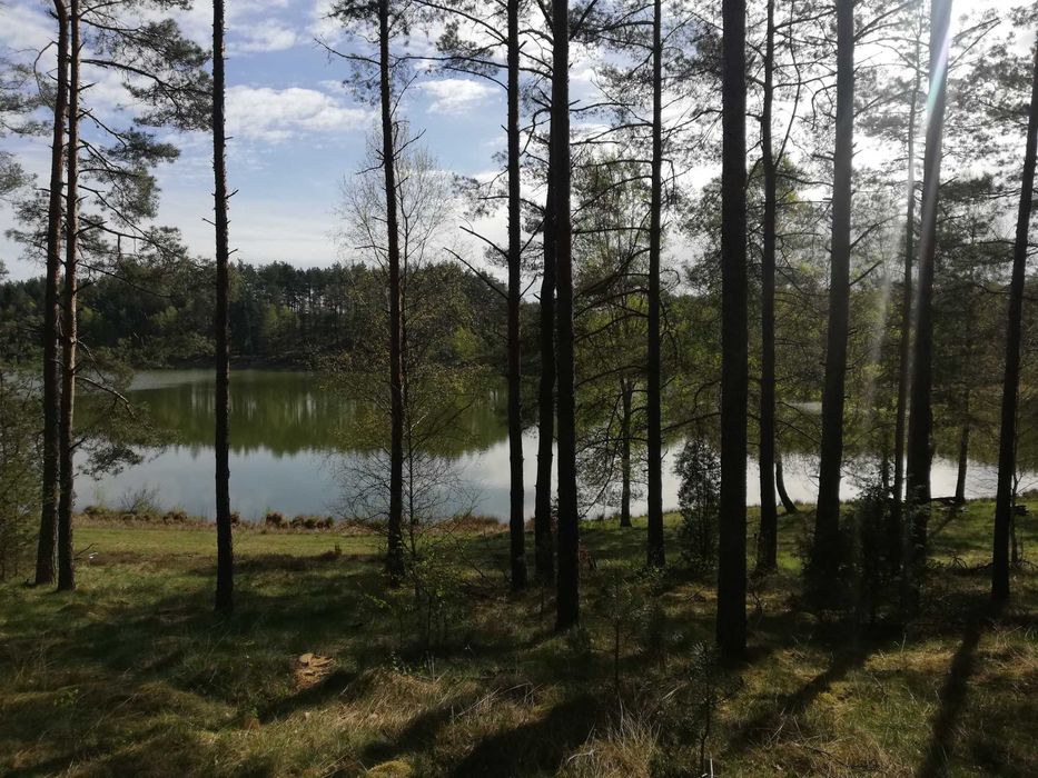 Domek letniskowy na kaszubach las, jezioro, wędkowanie.