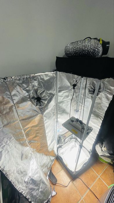 Grow 40x40 com Extrator FAN 100 mm, led de 65w full spectrum light