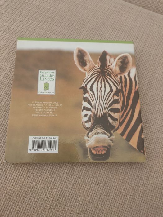 Coleção 4 Pequenos Grandes Livros