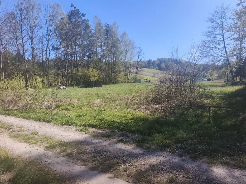 REZERWACJA Roztocze • 4351 m² • MNU • pod domki / inwestycję obok Krasnobrodu REZERWACJA