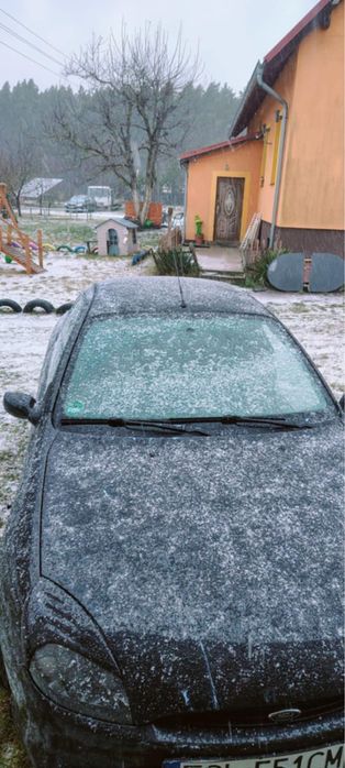 Ford puma 1.7 bezyma mozliwa zamiana