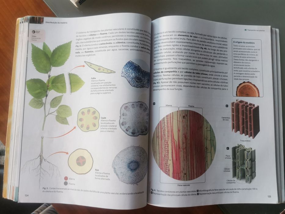 Manual Biologia  10.°ano