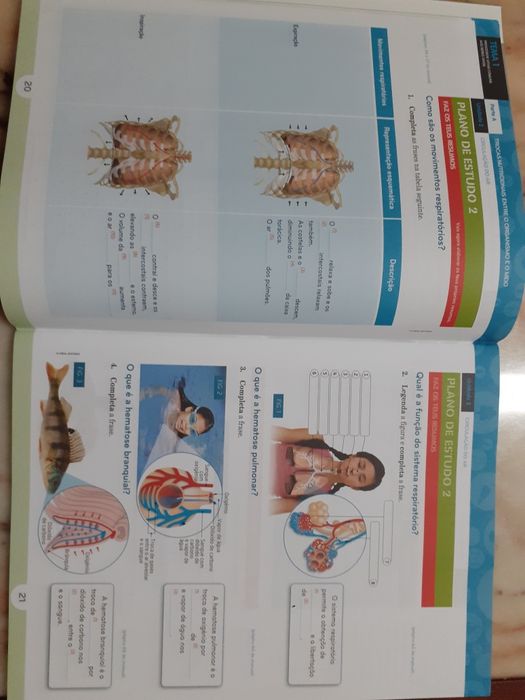 Manual e Caderno de Atividades Natura 6 - 6º ano Ciências