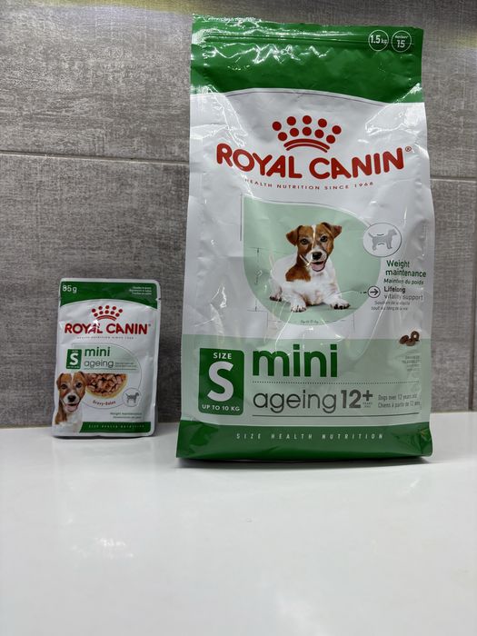 Royal canin mini ageing 12+ plus saszetka