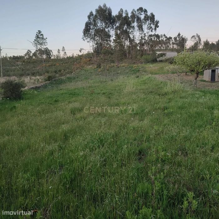 Terreno Rústico com possibilidade de construção em Retaxo