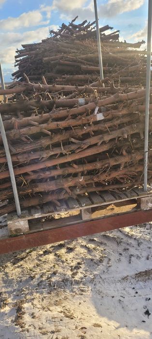 Drewno suche opał jabłoń do kominka