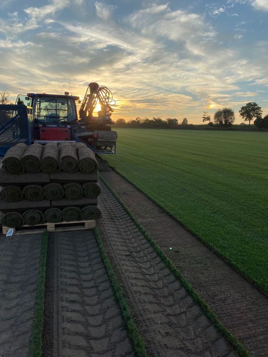 Premium trawa w rolce- producent