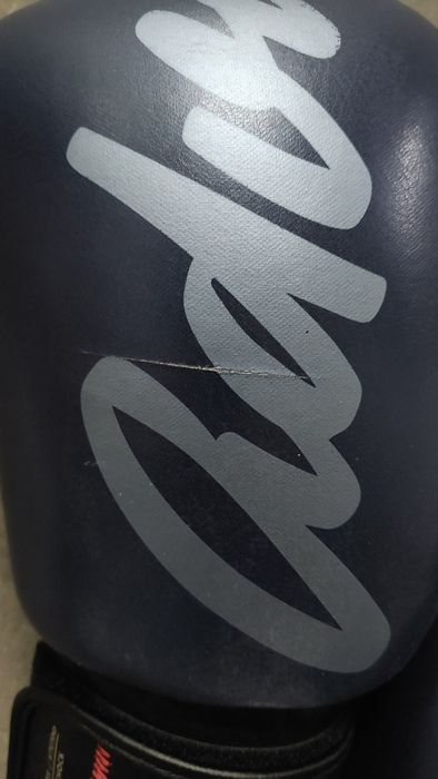 Luvas de Boxe, Kickboxing e Muay Thai
Abrir filtros, 0 filtros aplicad