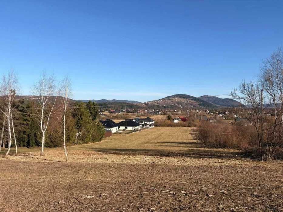 Mulczowanie działki przygotowanie terenu pod budowę Tarnobrzeg Mielec Stalowa Wola Dębica Rzeszów Tarnów Pacanów Sandomierz Pacanów