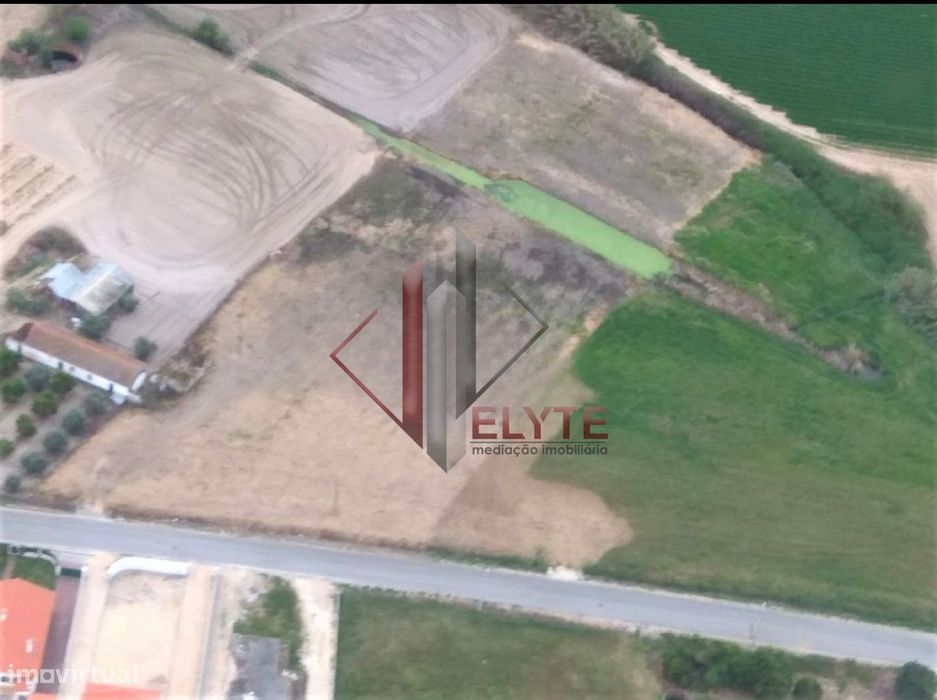 terreno Foros Salvaterra