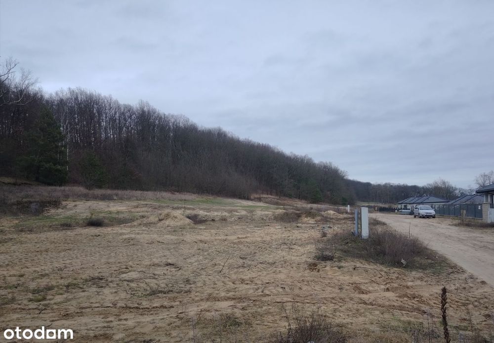 Urokliwa Działka w Zamku Bierzgłowskim. - Widok 3