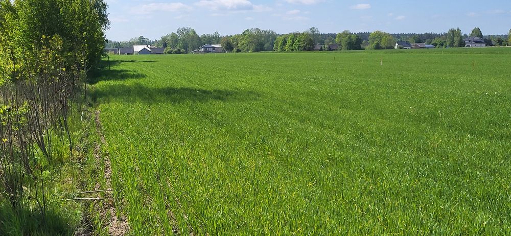 Sprzedam działkę w pomigaczach - Więcej