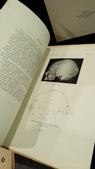 Antropologia - Hugo de Magalhães 1942/44 - 3 unidades