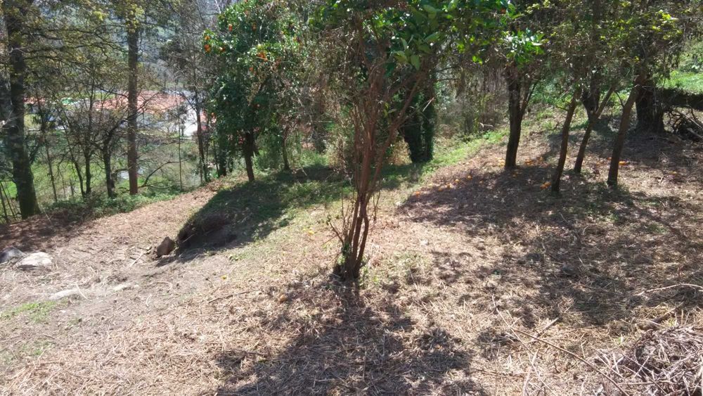 Quinta com casa para reconstrução e vista desafogada – Excelente exposição solar