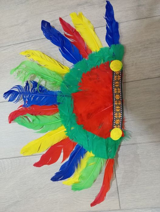 Penas de índio carnaval