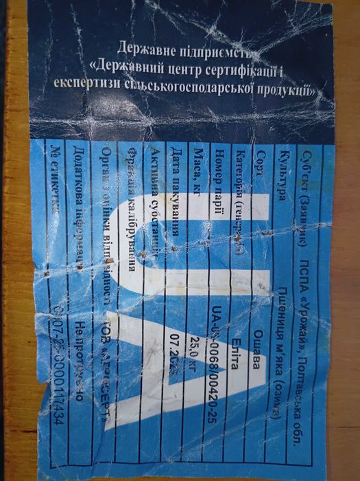 Насіння пшениці Oshawa 1 репродукції.